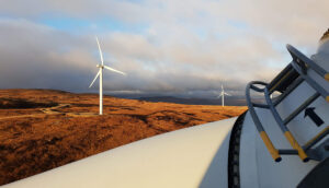 ¡Estrenamos nuevo sitio web!